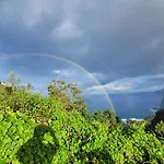 Sleep And Go In In Nature Bed and breakfast Santana (Madeira)